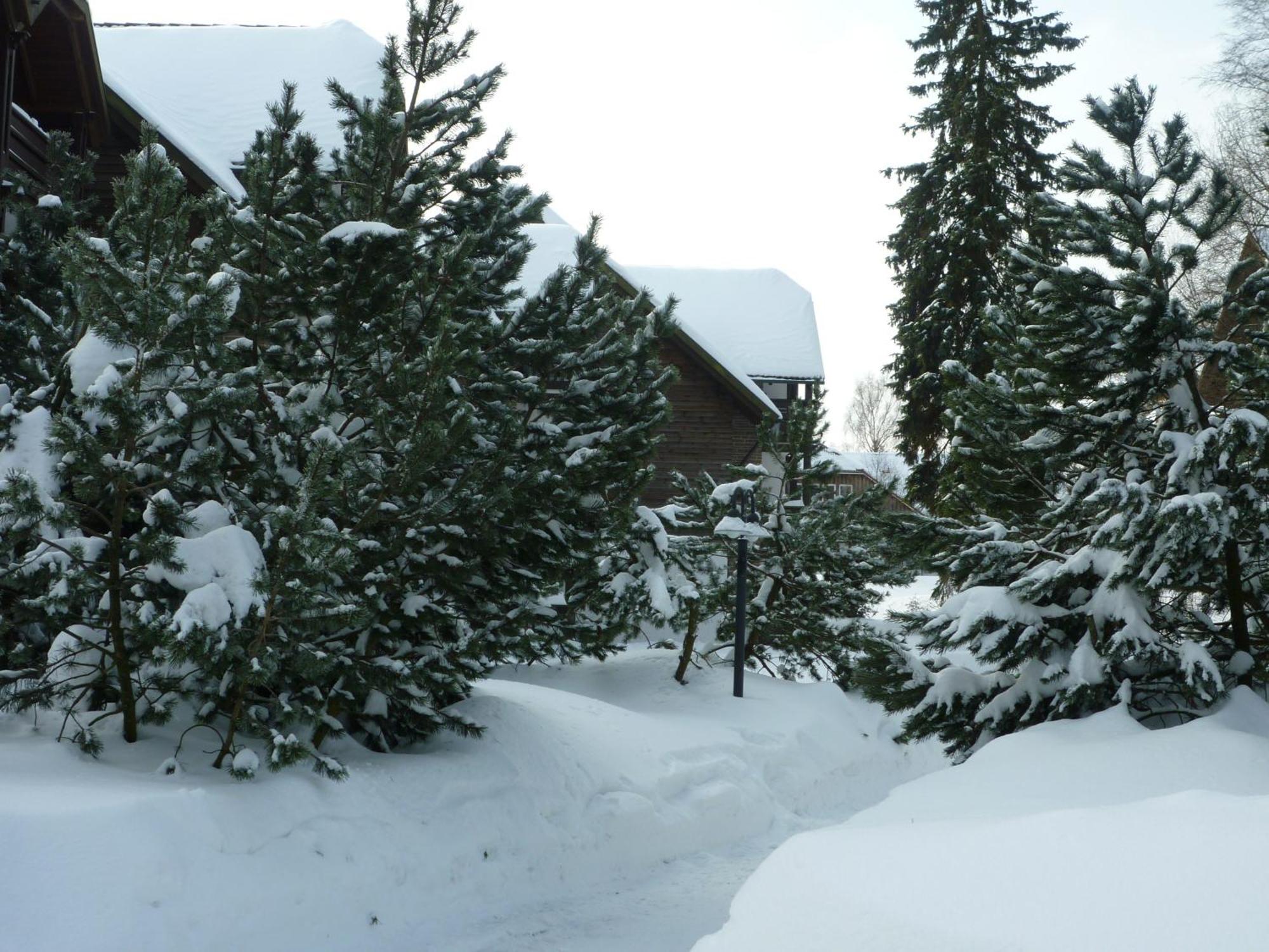 Aparthotel Hapimag Ferienwohnungen Braunlage