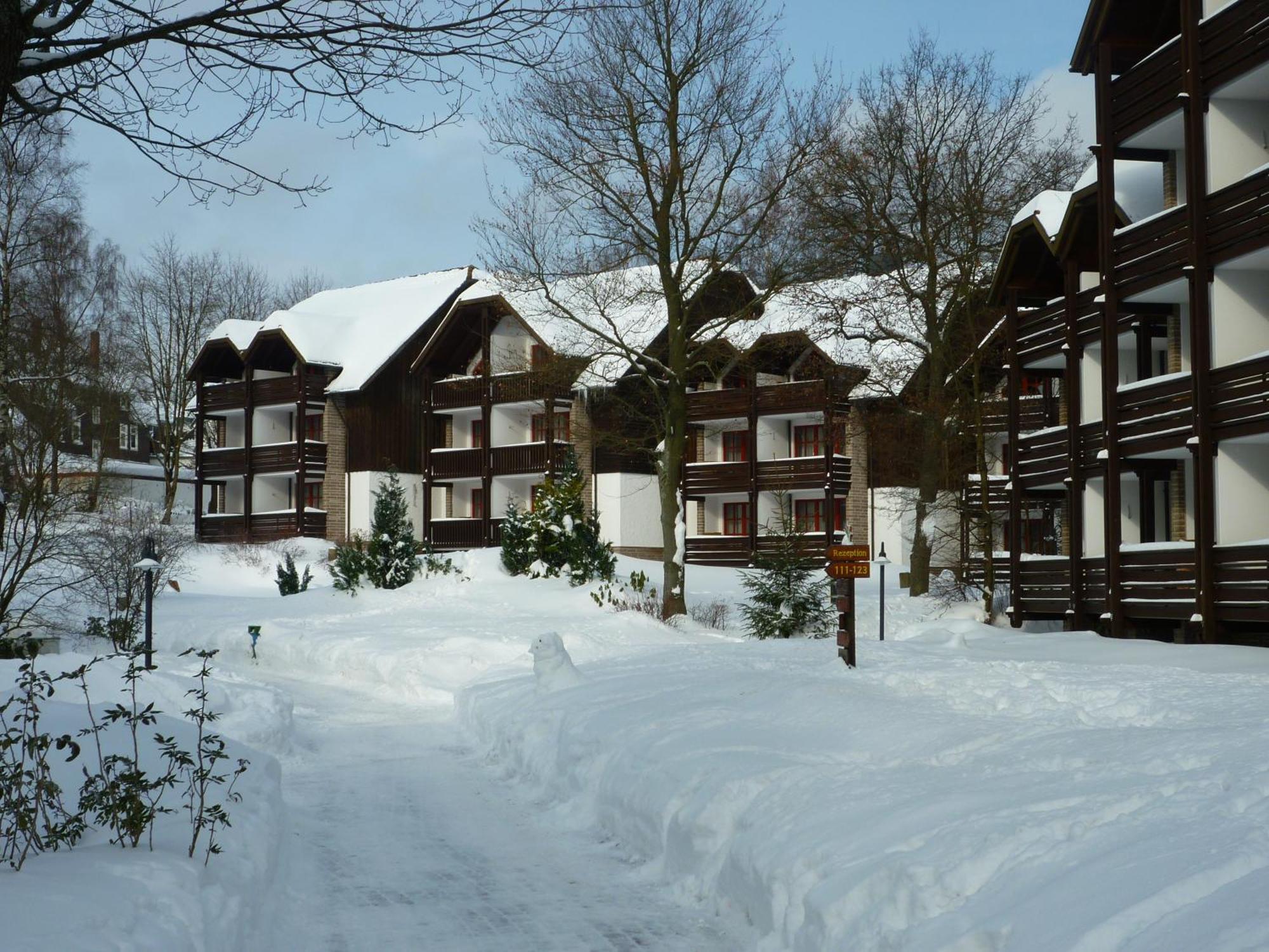 Aparthotel Hapimag Ferienwohnungen Braunlage 3*